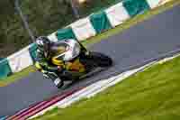 enduro-digital-images;event-digital-images;eventdigitalimages;mallory-park;mallory-park-photographs;mallory-park-trackday;mallory-park-trackday-photographs;no-limits-trackdays;peter-wileman-photography;racing-digital-images;trackday-digital-images;trackday-photos